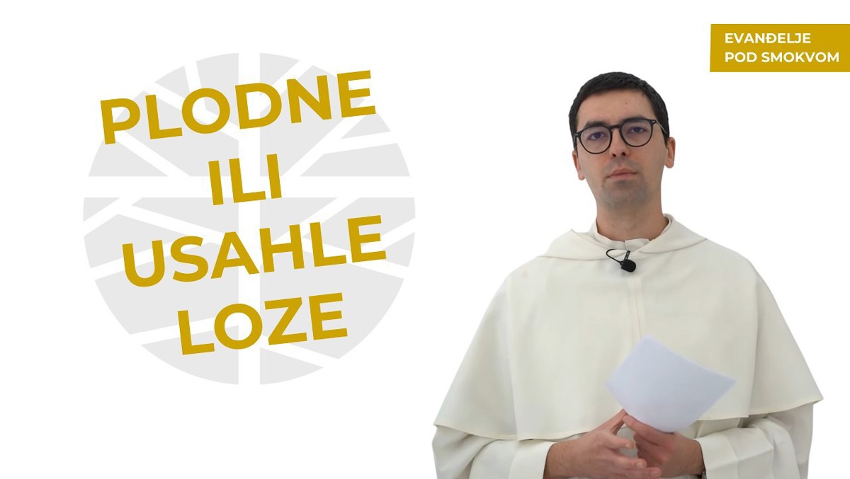 fra Karlo Luka Kvesić - Ne boj se svojih umora! | EVANĐELJE (Iv 15,1-8)